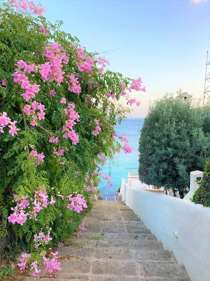Ideal Property Mallorca - Villa Alcanada 1